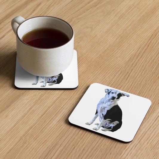 Pawsitively Practical Coaster