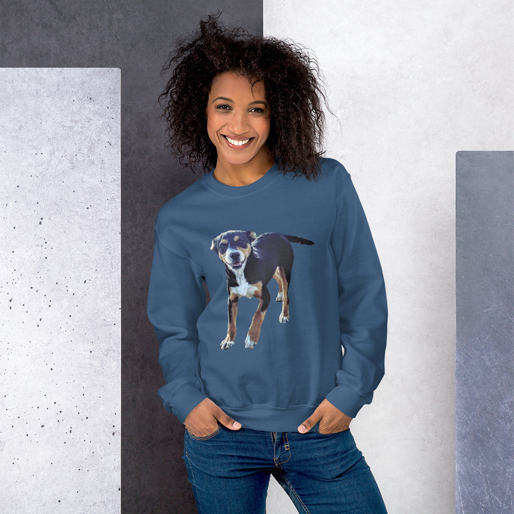 Pawsome Comfort Sweatshirt