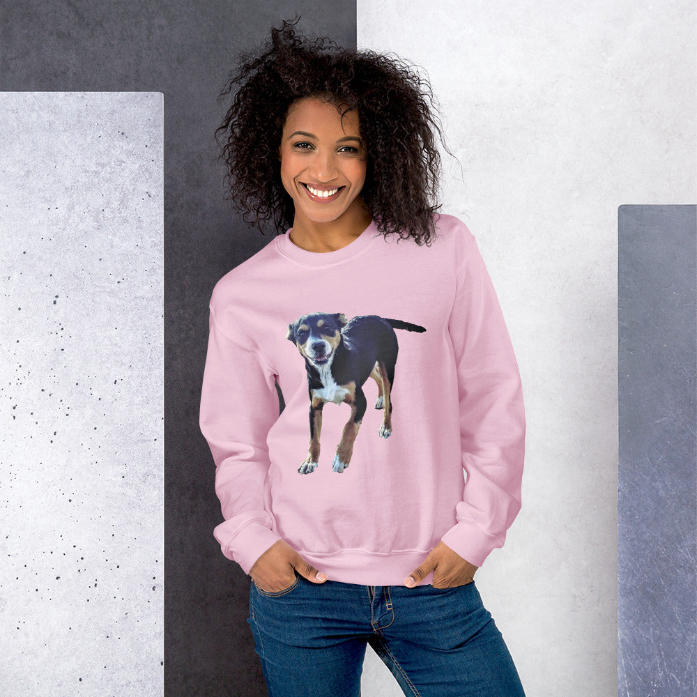 Pawsome Comfort Sweatshirt