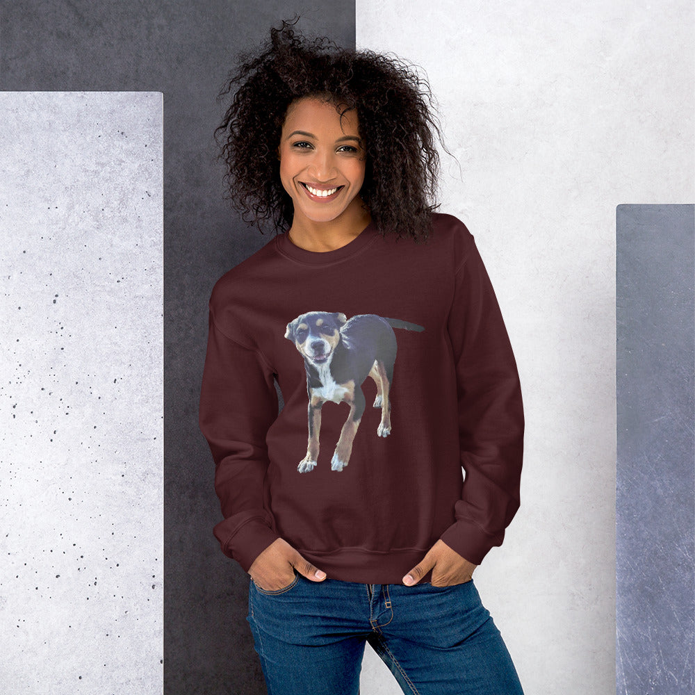 Pawsome Comfort Sweatshirt