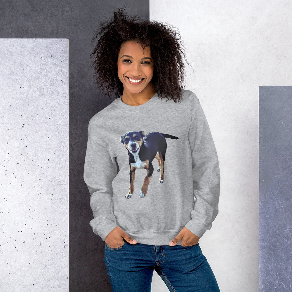 Pawsome Comfort Sweatshirt