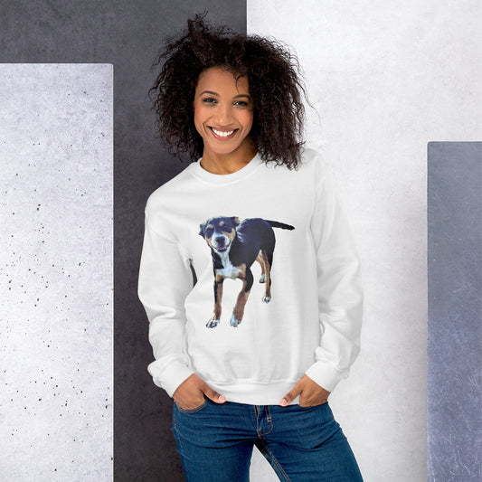 Pawsome Comfort Sweatshirt